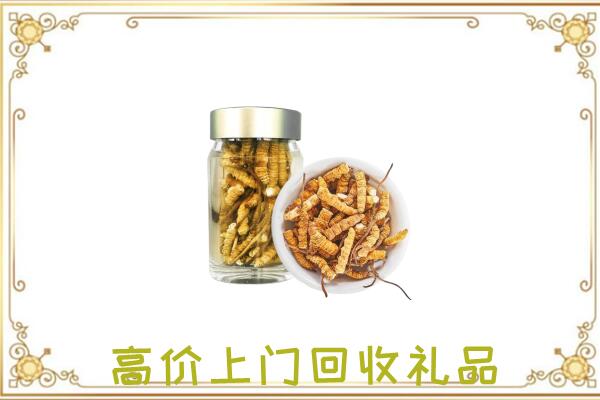 凉山周边回收虫草